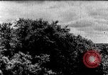 Image of Korean people in period from 1945 to 1950 North Korea, 1947, second 16 stock footage video 65675048310