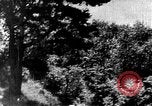 Image of Korean people in period from 1945 to 1950 North Korea, 1947, second 17 stock footage video 65675048310