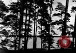 Image of Korean people in period from 1945 to 1950 North Korea, 1947, second 18 stock footage video 65675048310