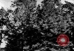Image of Korean people in period from 1945 to 1950 North Korea, 1947, second 21 stock footage video 65675048310