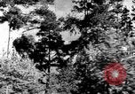 Image of Korean people in period from 1945 to 1950 North Korea, 1947, second 22 stock footage video 65675048310