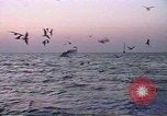 Image United States Coast Guard l'Arabie saoudite, 1991, de la seconde 46 séquences d'archives historiques vidéo 65675048325