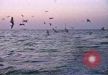 Image United States Coast Guard l'Arabie saoudite, 1991, de la seconde 47 séquences d'archives historiques vidéo 65675048325
