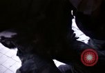 Standbild USA 101st Airborne Division Ägypten, 1980, aus Sekunde 39 historischem Filmmaterial Videoclip 65675048342