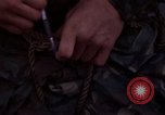 Standbild USA 101st Airborne Division Ägypten, 1980, aus Sekunde 34 historischem Filmmaterial Videoclip 65675048343