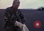 Standbild USA 101st Airborne Division Ägypten, 1980, aus Sekunde 62 historischem Filmmaterial Videoclip 65675048343
