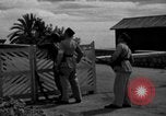 Image soldats français France, 1944, de la seconde 46 séquences d'archives historiques vidéo 65675048354