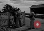 Image soldats français France, 1944, de la seconde 47 séquences d'archives historiques vidéo 65675048354