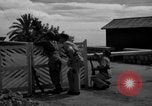 Image soldats français France, 1944, de la seconde 58 séquences d'archives historiques vidéo 65675048354