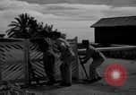 Image soldats français France, 1944, de la seconde 60 séquences d'archives historiques vidéo 65675048354