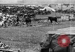 Image of British soldiers and supplies France, 1916, second 19 stock footage video 65675048356