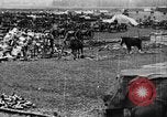 Image of British soldiers and supplies France, 1916, second 20 stock footage video 65675048356