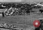 Image of British soldiers and supplies France, 1916, second 22 stock footage video 65675048356