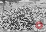 Image of British soldiers refilling limbers with artillery shells France, 1916, second 45 stock footage video 65675048357