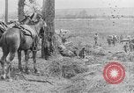Image British lutte en bataille de la Somme France, 1916, de la seconde 11 séquences d'archives historiques vidéo 65675048359