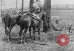 Image British lutte en bataille de la Somme France, 1916, de la seconde 14 séquences d'archives historiques vidéo 65675048359
