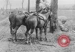 Image British lutte en bataille de la Somme France, 1916, de la seconde 15 séquences d'archives historiques vidéo 65675048359