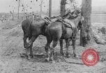 Image British lutte en bataille de la Somme France, 1916, de la seconde 16 séquences d'archives historiques vidéo 65675048359