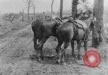 Image British lutte en bataille de la Somme France, 1916, de la seconde 17 séquences d'archives historiques vidéo 65675048359