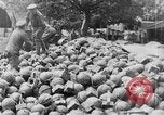 Image Les troupes britanniques employant Plum Pudding mortiers France, 1916, de la seconde 21 séquences d'archives historiques vidéo 65675048360