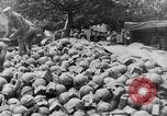 Image Les troupes britanniques employant Plum Pudding mortiers France, 1916, de la seconde 23 séquences d'archives historiques vidéo 65675048360