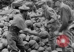 Image Les troupes britanniques employant Plum Pudding mortiers France, 1916, de la seconde 24 séquences d'archives historiques vidéo 65675048360