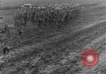 Image of British Worcesters equipped with cutters for barbed wire France, 1916, second 30 stock footage video 65675048363
