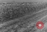 Image of British Worcesters equipped with cutters for barbed wire France, 1916, second 55 stock footage video 65675048363