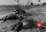 Standbild British 18 pounder Batterie Artillerie feuern Frankreich, 1916, aus Sekunde 39 historischem Filmmaterial Videoclip 65675048365