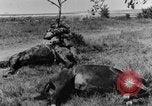 Standbild British 18 pounder Batterie Artillerie feuern Frankreich, 1916, aus Sekunde 41 historischem Filmmaterial Videoclip 65675048365