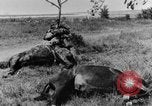 Standbild British 18 pounder Batterie Artillerie feuern Frankreich, 1916, aus Sekunde 42 historischem Filmmaterial Videoclip 65675048365