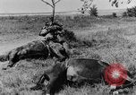 Standbild British 18 pounder Batterie Artillerie feuern Frankreich, 1916, aus Sekunde 46 historischem Filmmaterial Videoclip 65675048365