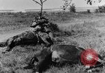 Standbild British 18 pounder Batterie Artillerie feuern Frankreich, 1916, aus Sekunde 49 historischem Filmmaterial Videoclip 65675048365