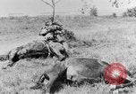 Standbild British 18 pounder Batterie Artillerie feuern Frankreich, 1916, aus Sekunde 51 historischem Filmmaterial Videoclip 65675048365