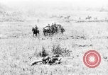 Image of British artillery moving in Battle of the Somme Mametz France, 1916, second 20 stock footage video 65675048376