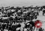 Image of British artillery moving in Battle of the Somme Mametz France, 1916, second 45 stock footage video 65675048376