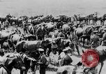 Image of British artillery moving in Battle of the Somme Mametz France, 1916, second 47 stock footage video 65675048376