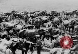 Image of British artillery moving in Battle of the Somme Mametz France, 1916, second 48 stock footage video 65675048376