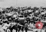Image of British artillery moving in Battle of the Somme Mametz France, 1916, second 49 stock footage video 65675048376