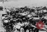 Image of British artillery moving in Battle of the Somme Mametz France, 1916, second 52 stock footage video 65675048376