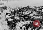 Image of British artillery moving in Battle of the Somme Mametz France, 1916, second 53 stock footage video 65675048376