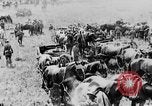 Image of British artillery moving in Battle of the Somme Mametz France, 1916, second 54 stock footage video 65675048376