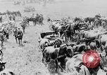 Image of British artillery moving in Battle of the Somme Mametz France, 1916, second 55 stock footage video 65675048376