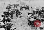 Image of British artillery moving in Battle of the Somme Mametz France, 1916, second 57 stock footage video 65675048376