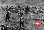 Image of Lancashire Fusiliers relaxing during lull in battle of the Somme France, 1916, second 47 stock footage video 65675048382