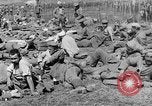 Image British Police Combat round up prisonniers de guerre allemands France, 1916, de la seconde 48 séquences d'archives historiques vidéo 65675048389