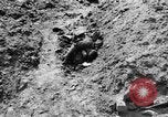 Image of Fallen German soldiers on battlefield France, 1916, second 59 stock footage video 65675048390