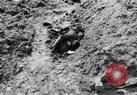 Image of Fallen German soldiers on battlefield France, 1916, second 60 stock footage video 65675048390
