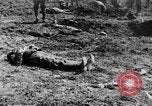 Image l'inhumation des cadavres de soldats allemands France, 1916, de la seconde 62 séquences d'archives historiques vidéo 65675048391