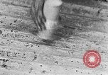 Image of incendiary hand grenades United States USA, 1918, second 20 stock footage video 65675048404